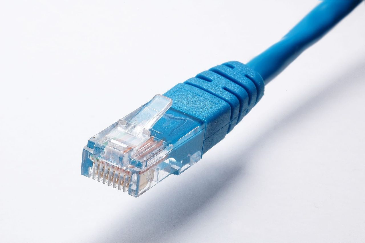 Conector RJ45 de un cable Ethernet azul